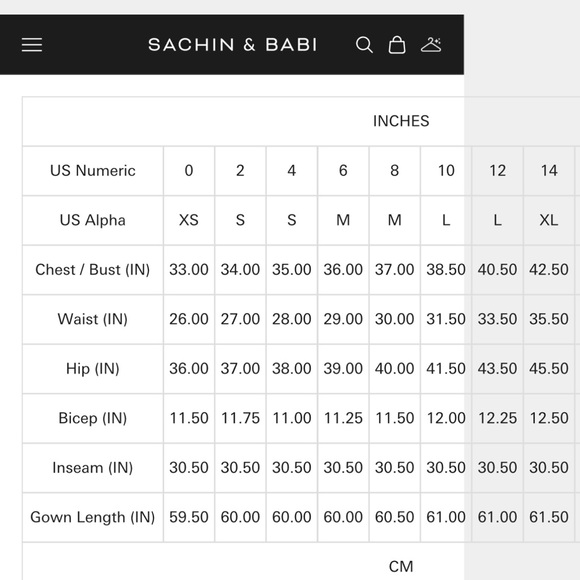 NWT Sachin & Babi Bryant Gown Dress Sparkling Wine Size 0 with Slit - Picture 16 of 16